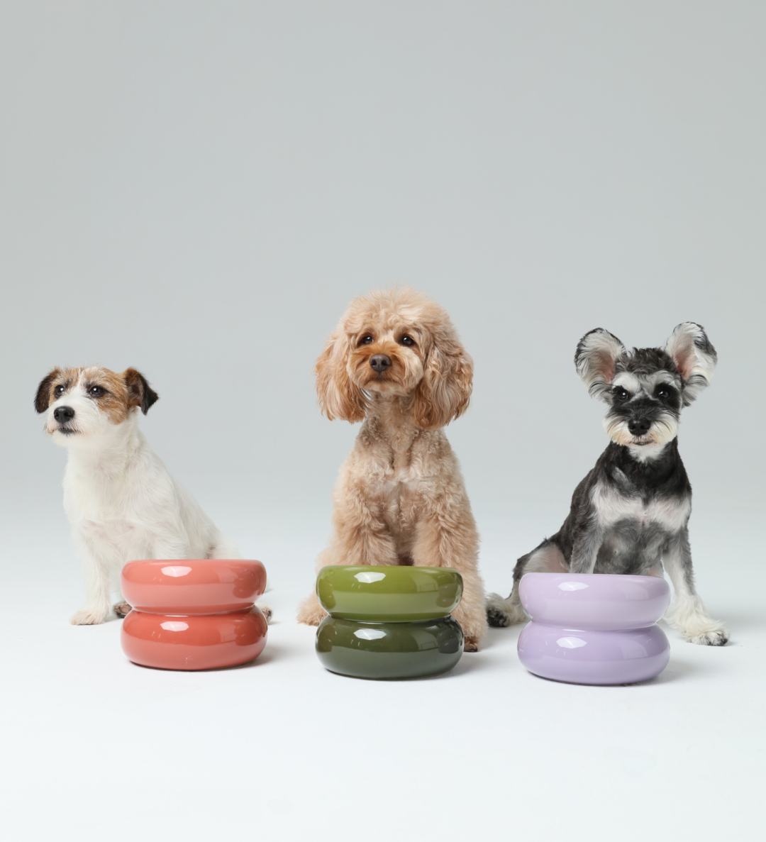 PEHOM - Soufflé Pet Bowl - Purple Image