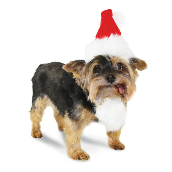 Dogo Pet - Santa Hat Image
