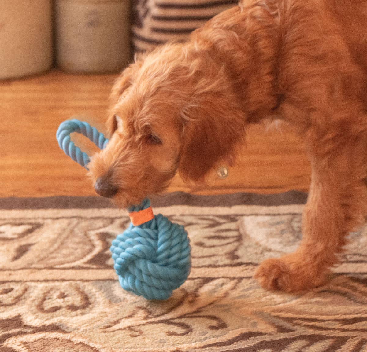 Pet Palette Distribution - ThoozyPet Ball Tug Rope Dog Toy with Handle Blue 5" Image