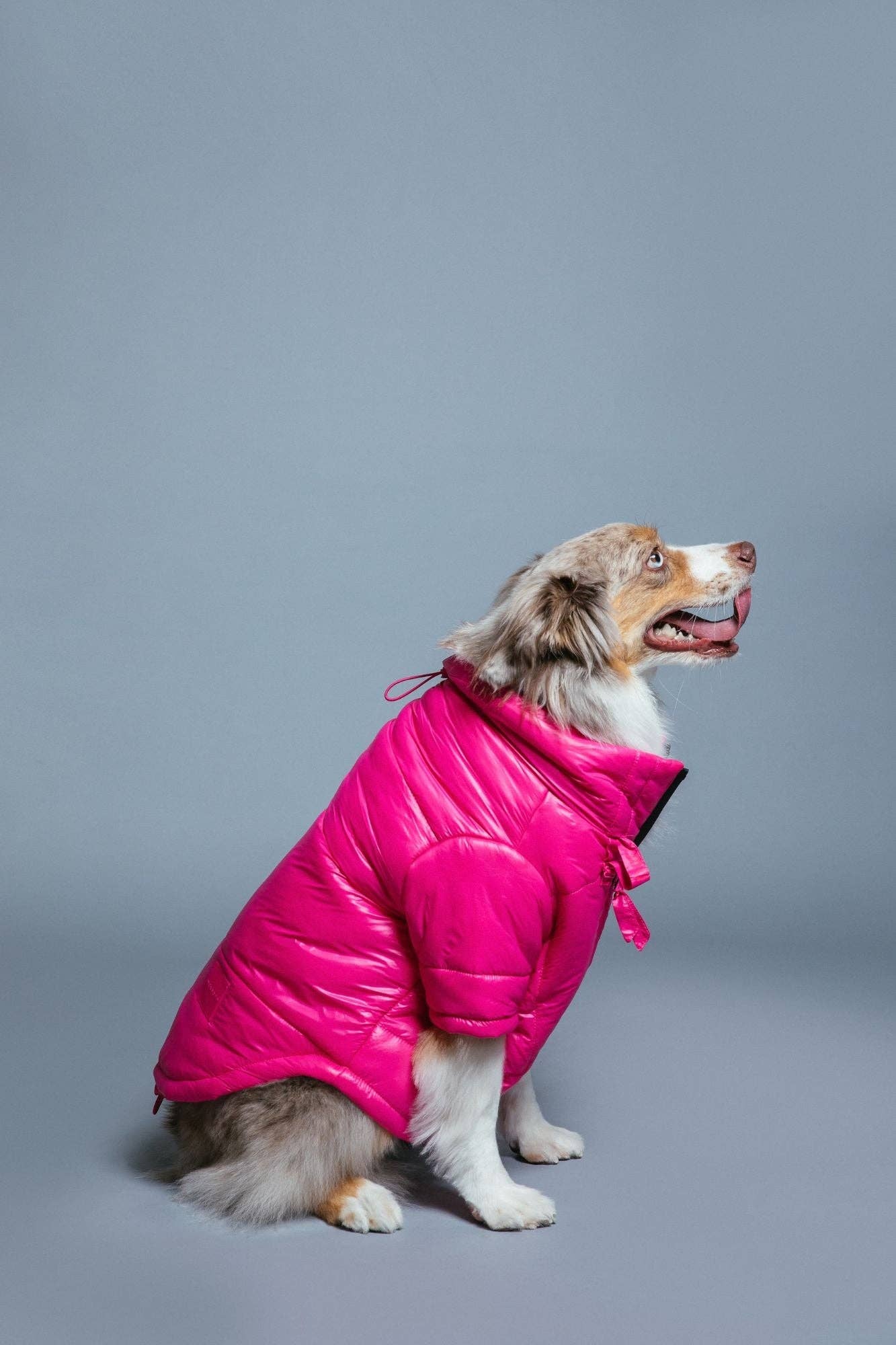 maxbone - Glossy Puffer Jacket Image