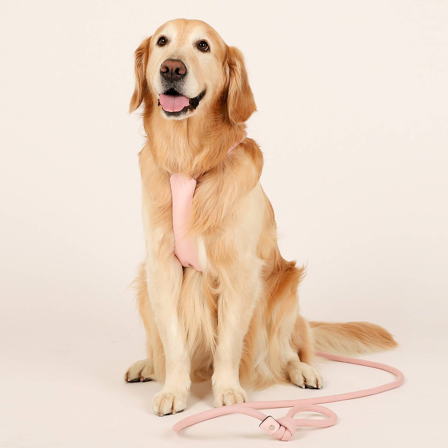 Hozi - All-in-one Harness : Pink Image