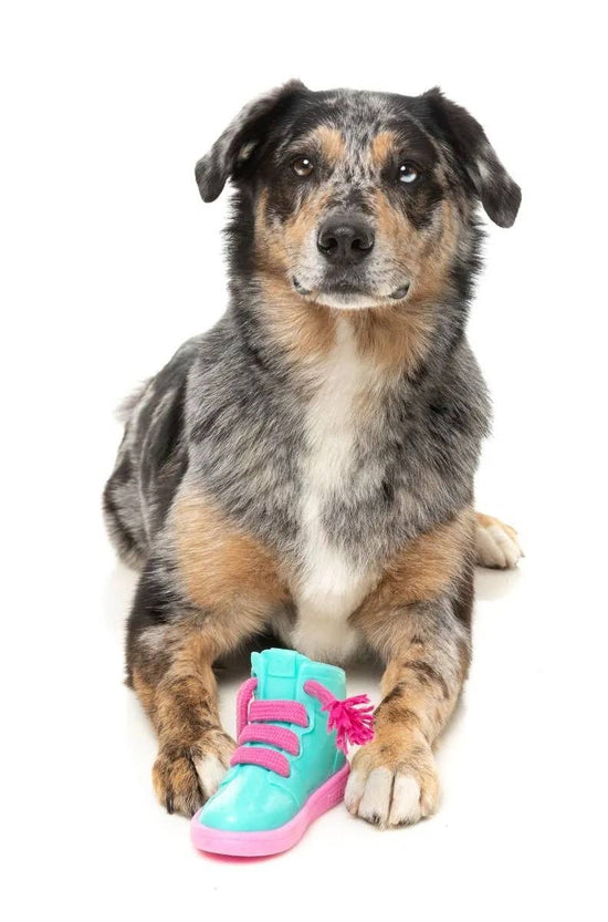 FuzzYard Fresh Kicks N' Licks Dog Chew Toy Image