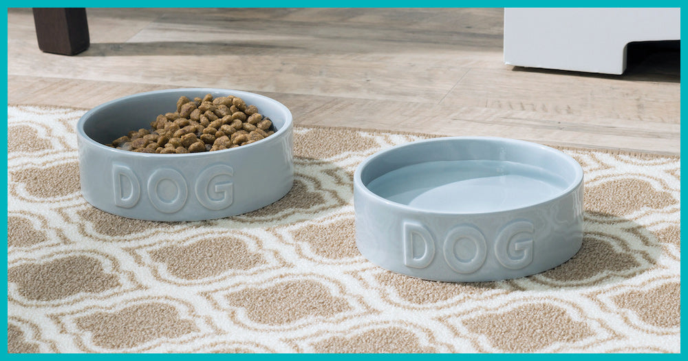 Elegant Dog Bowls Image