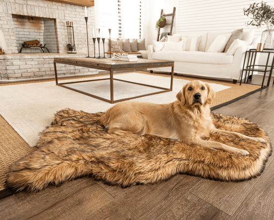 Paw Brands - PupRug by Paw.com™ Faux Fur Orthopedic Dog Bed - Curve Sable Tan Image
