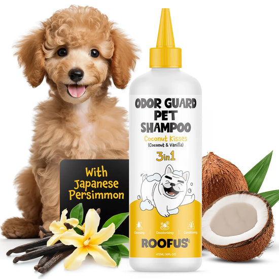 Roofus - Roofus Pet Shampoo - 1 Pack Coconut Kisses (Coconut & Vanilla) Image