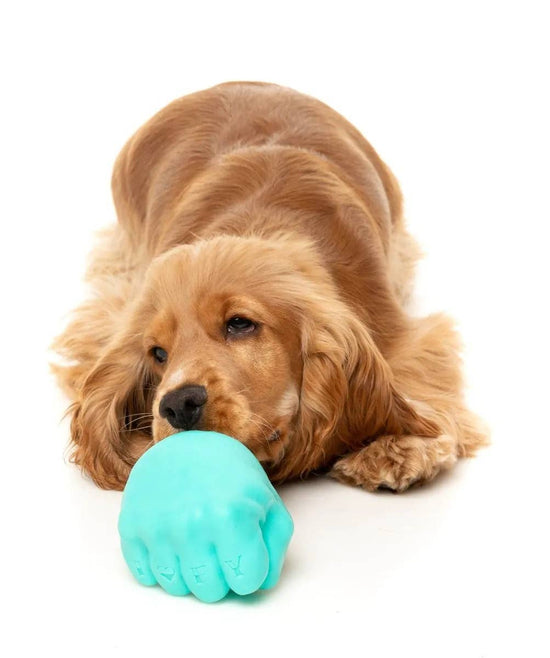 FuzzYard Knuckle Sandwich Dog Chew Toy Image