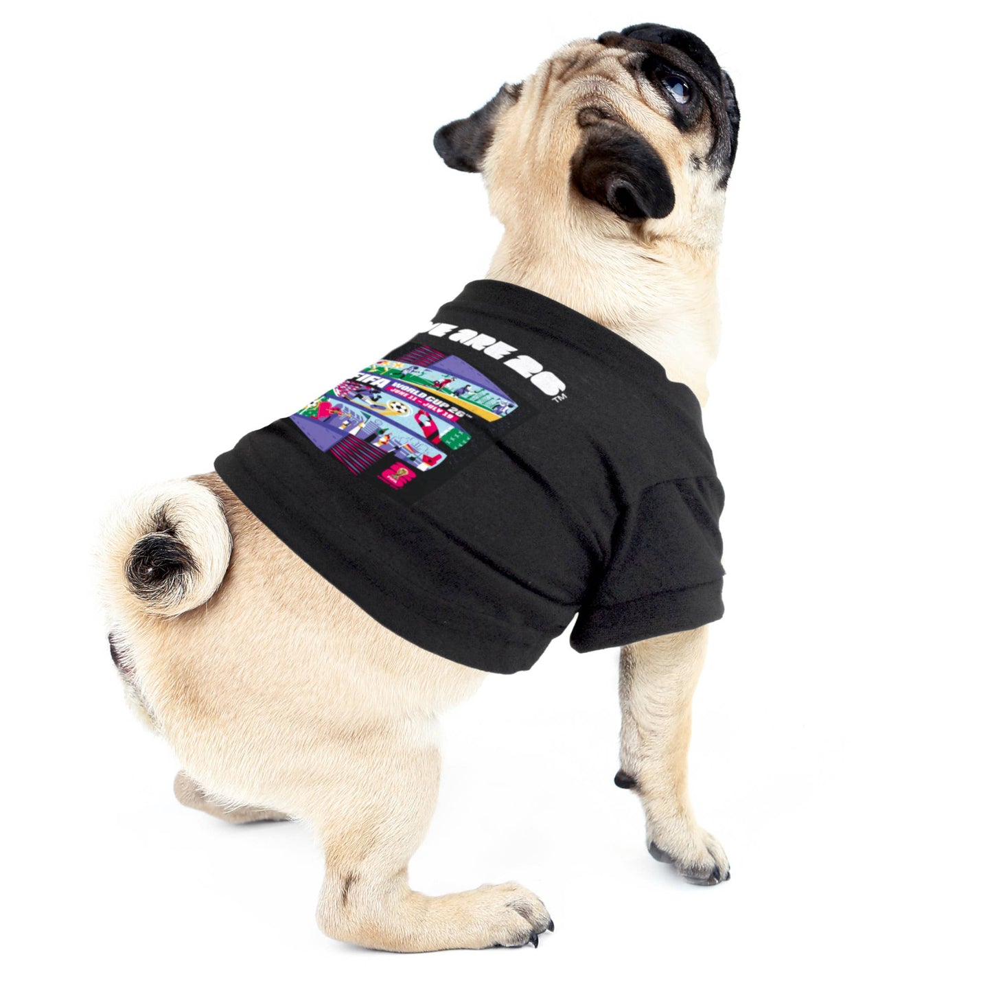 Little Earth Productions - 2026 FIFA World Cup Host City Pet T-Shirt Image