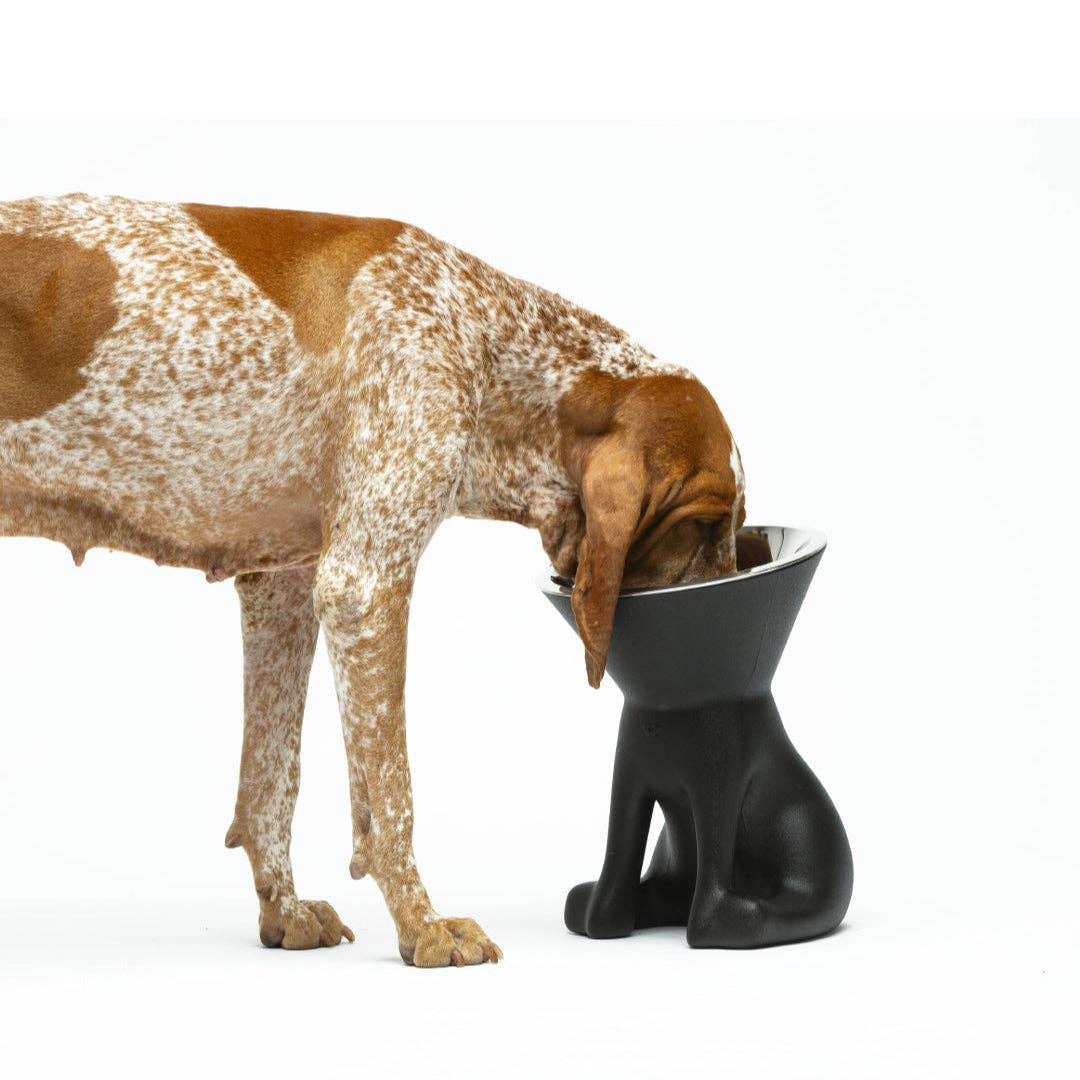 Puppy Gallery - ELIZABETH - The Queen of Dog Bowl Image