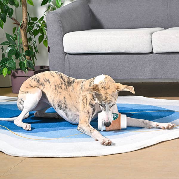 Hugsmart Products Inc - HugSmart Pet - Coffee Hour | StarPaws Coffee- TPR Rubber Toy Image