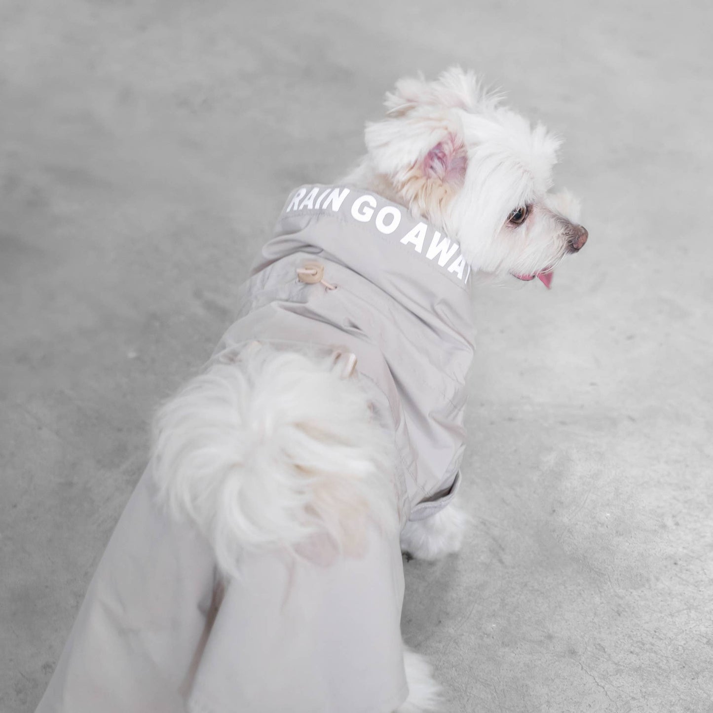 Pups & Bubs - Lumi Raincoat Image