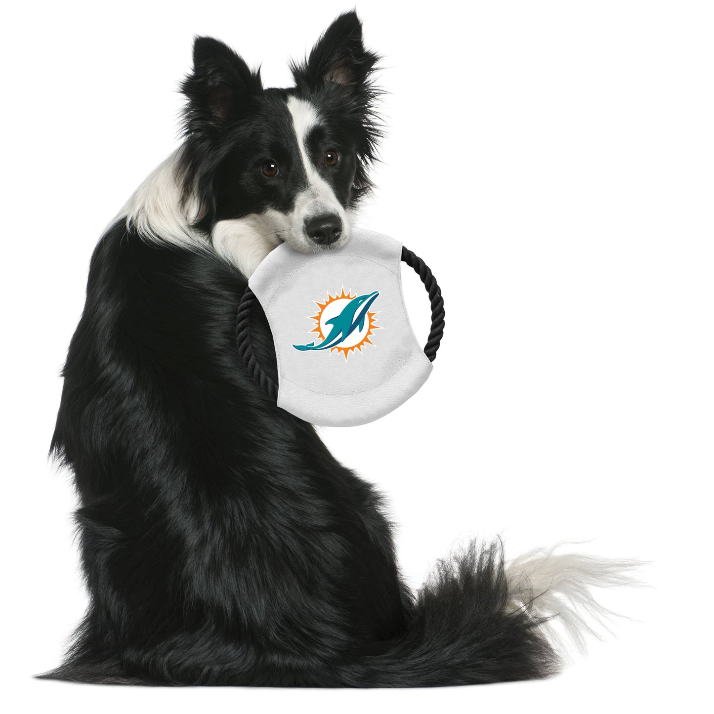 NFL Miami Dolphins Team Flying Disc Pet Toy Image