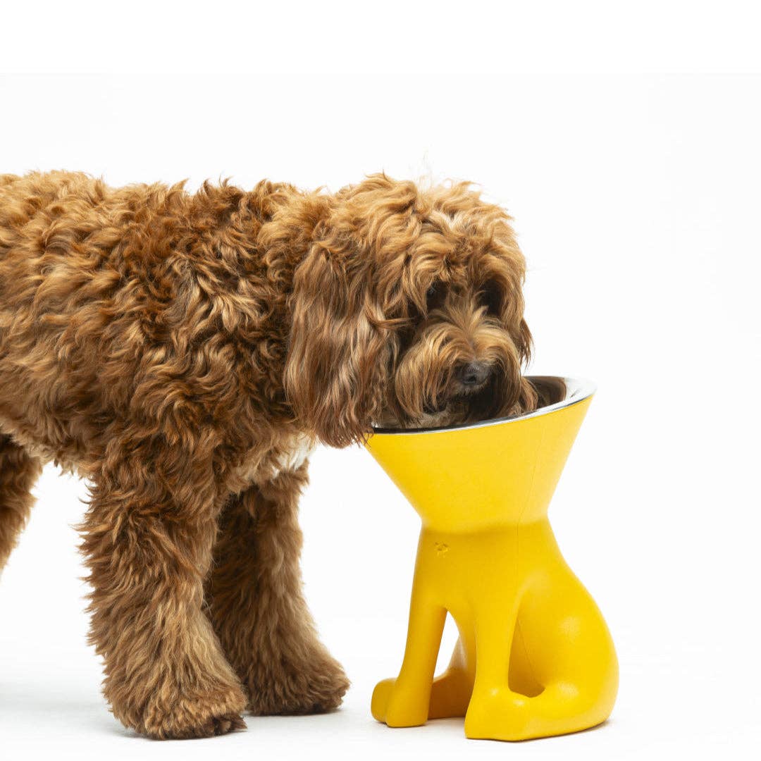 Puppy Gallery - ELIZABETH - The Queen of Dog Bowl Image