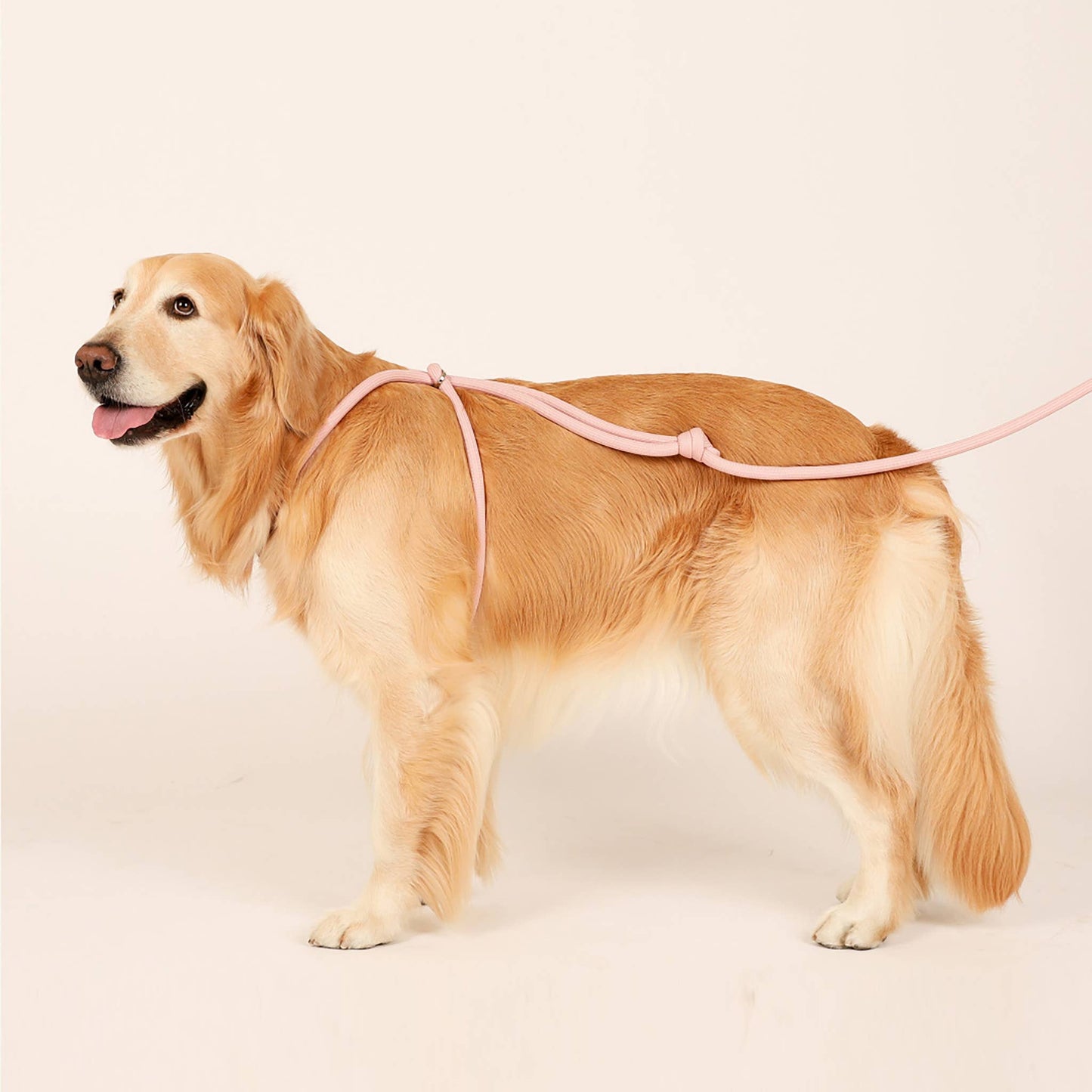 Hozi - All-in-one Harness : Pink Image