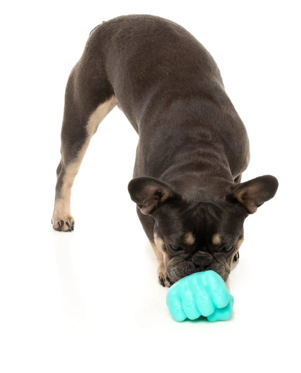 FuzzYard Knuckle Sandwich Dog Chew Toy Image