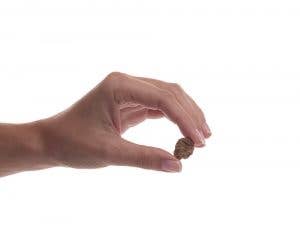 Preen Pets - Duck Meatballs Image