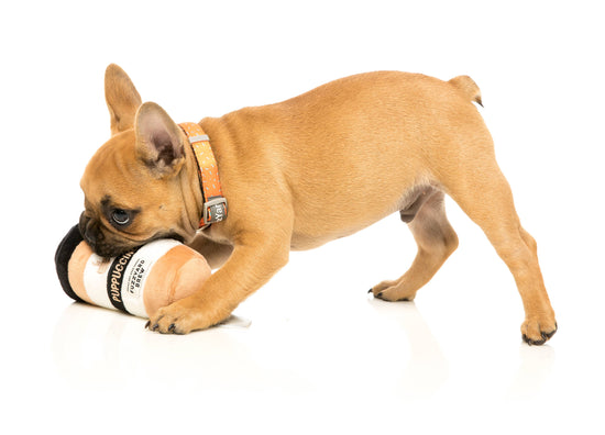 FuzzYard Dog Toy Puppuccino  Image