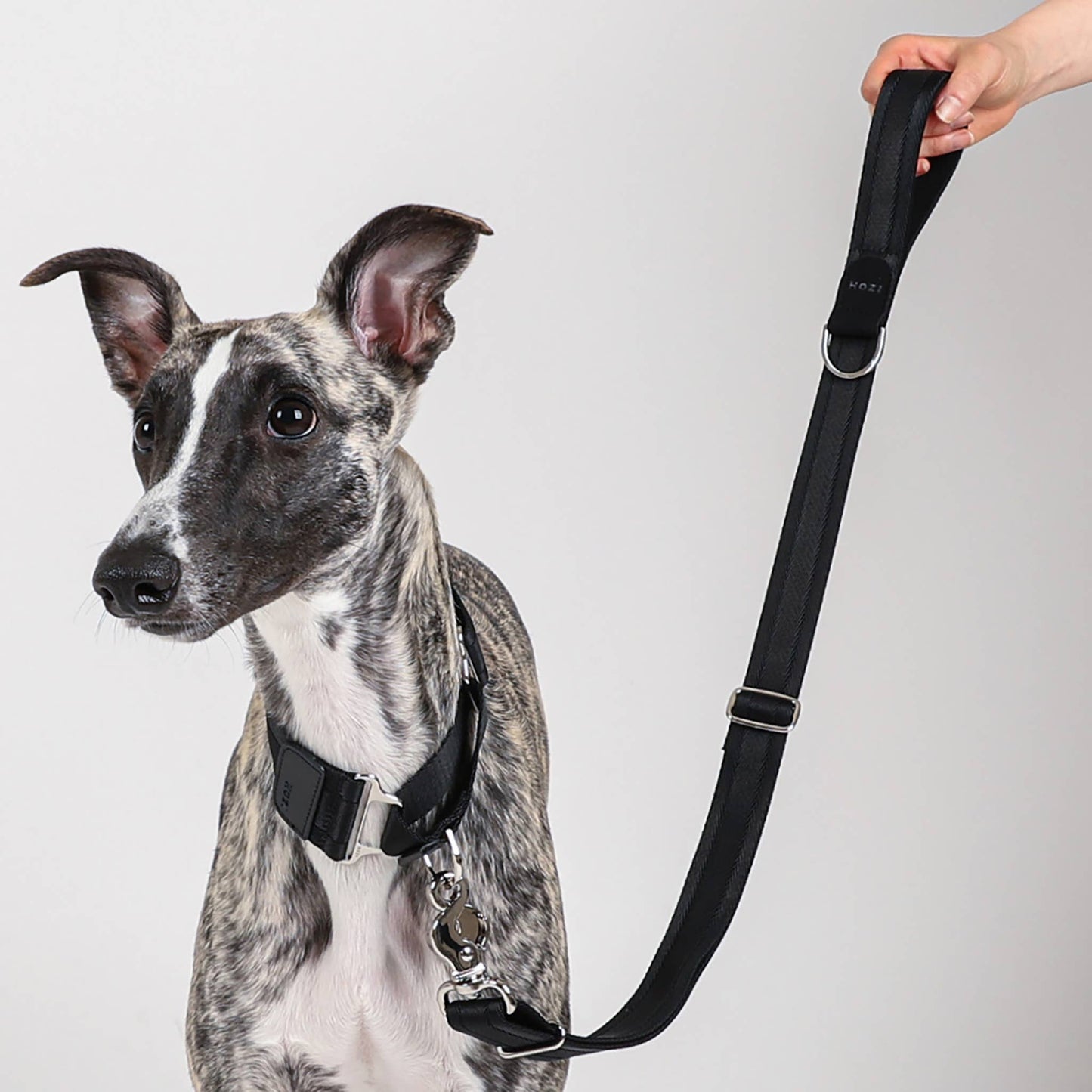 Hozi - Half Leash : Black Image