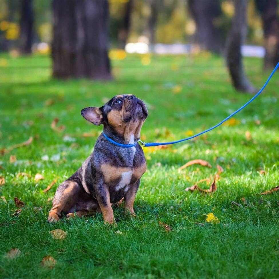 Dogline - Soft Leather Round Lead Image