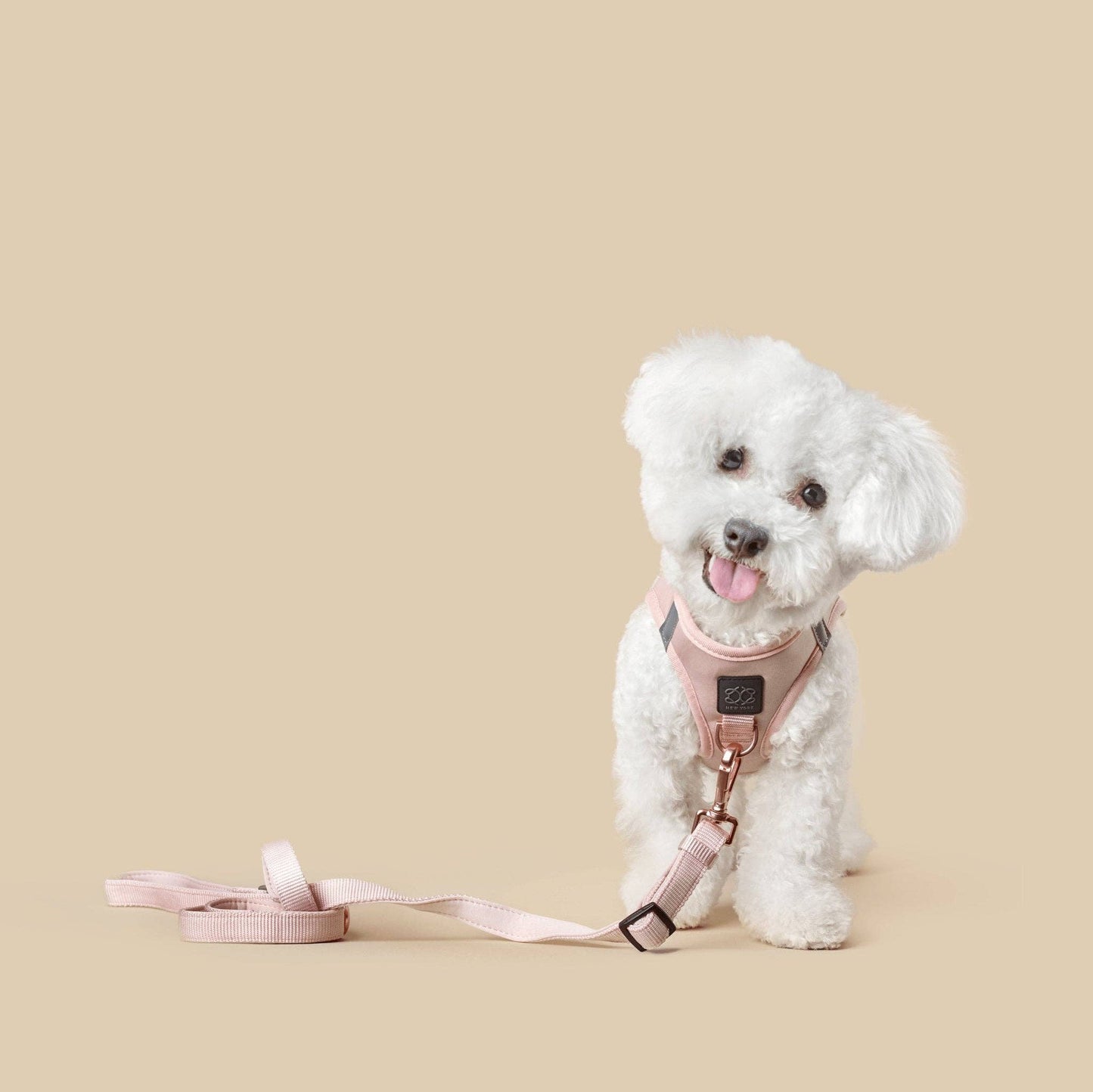 Dogistry™ - City Dog Leash - Blush Image