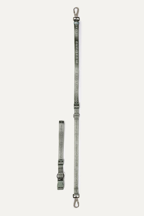 maxbone - GO! With Ease Hands-Free Leash for Dogs Image