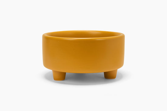 Waggo - Uplift Bowl Ceramic Dog Bowl Image