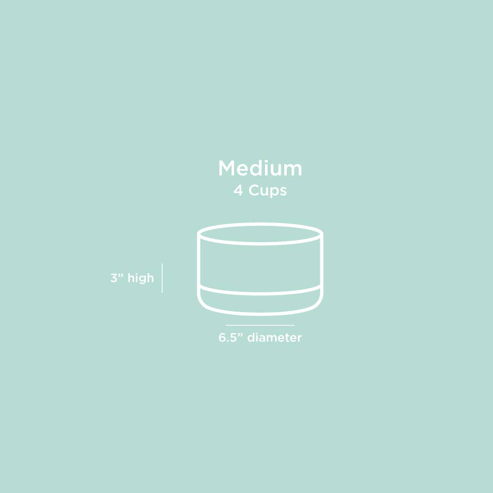 Waggo - Corky Ceramic 4 Cup Dog Bowl Image