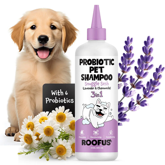 Roofus - Roofus Pet Shampoo - 1 Pack Snuggle Sesh (Lavender & Chamomile) Image