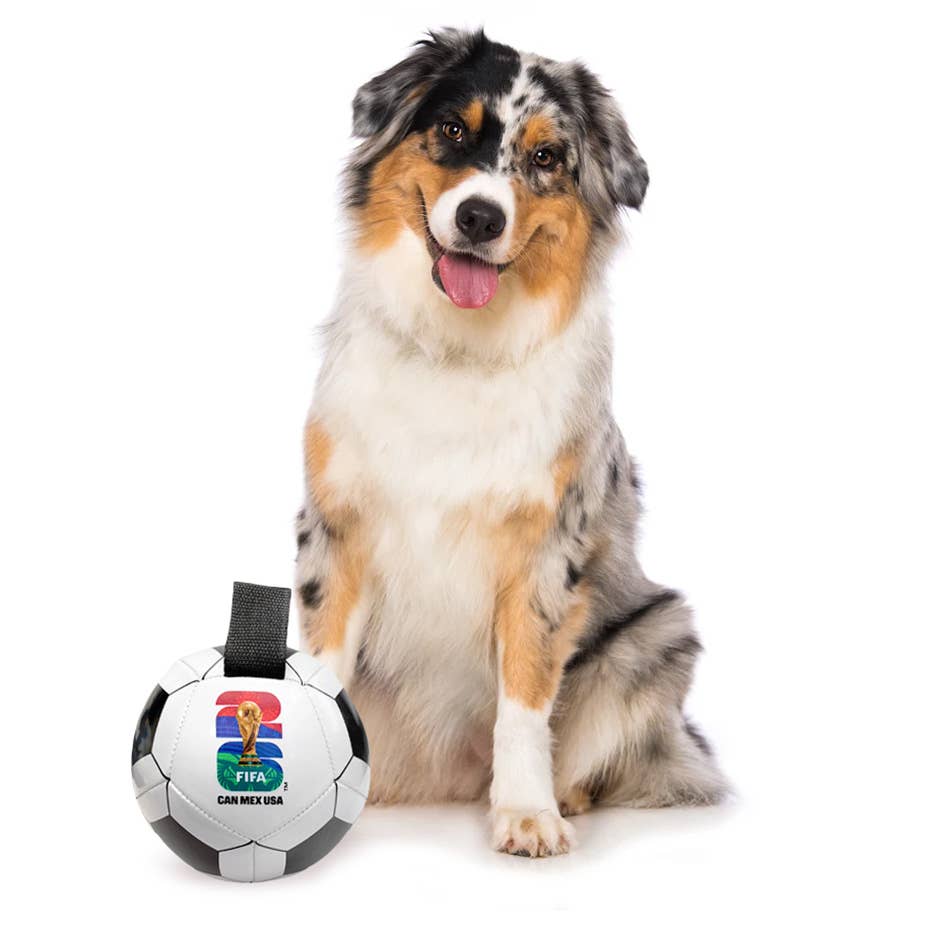 Little Earth Productions - 2026 FIFA World Cup Soccer Ball Pet Toy Image