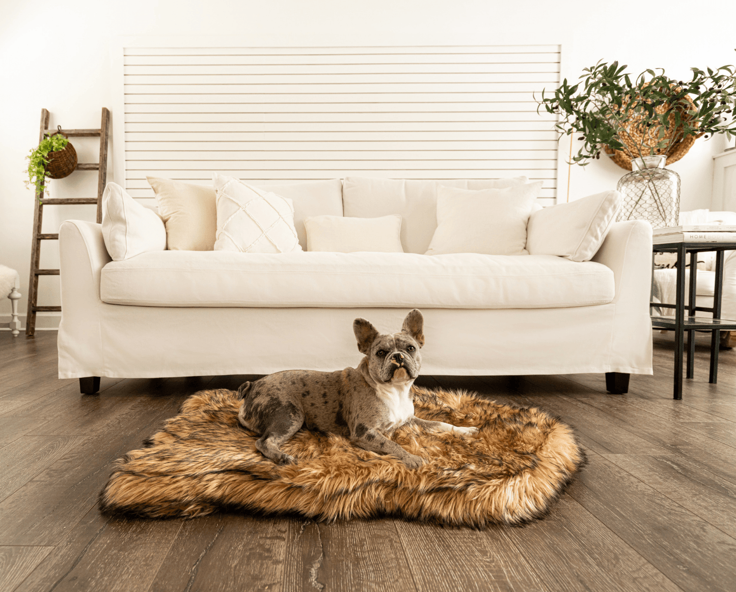 Paw Brands - PupRug by Paw.com™ Faux Fur Orthopedic Dog Bed - Curve Sable Tan Medium (40" L x 25" W) Image