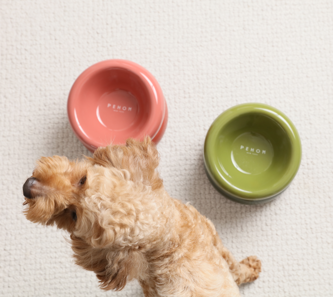 PEHOM - Soufflé Pet Bowl - Purple Image