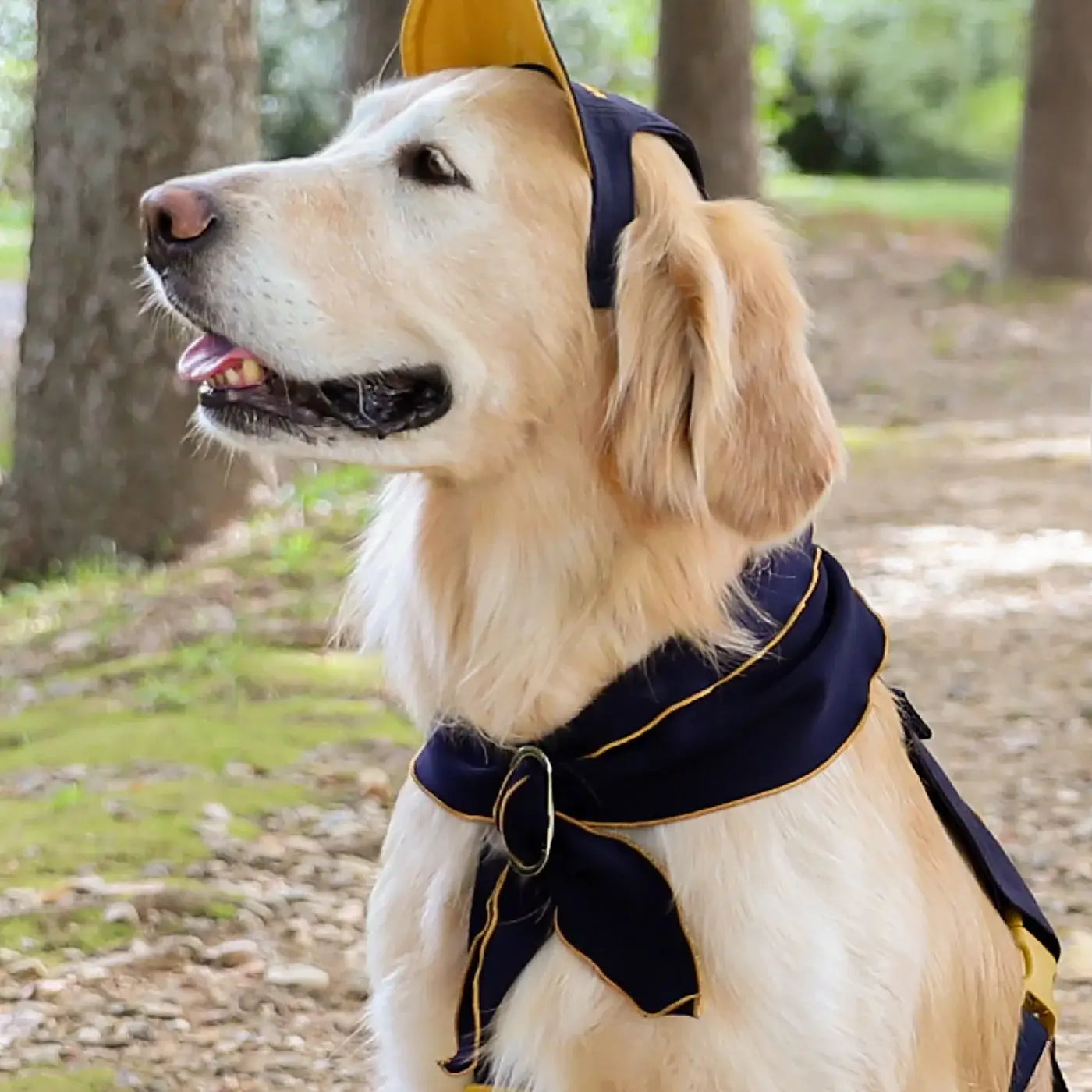 Hozi - Doggie Scarf : Navy Image