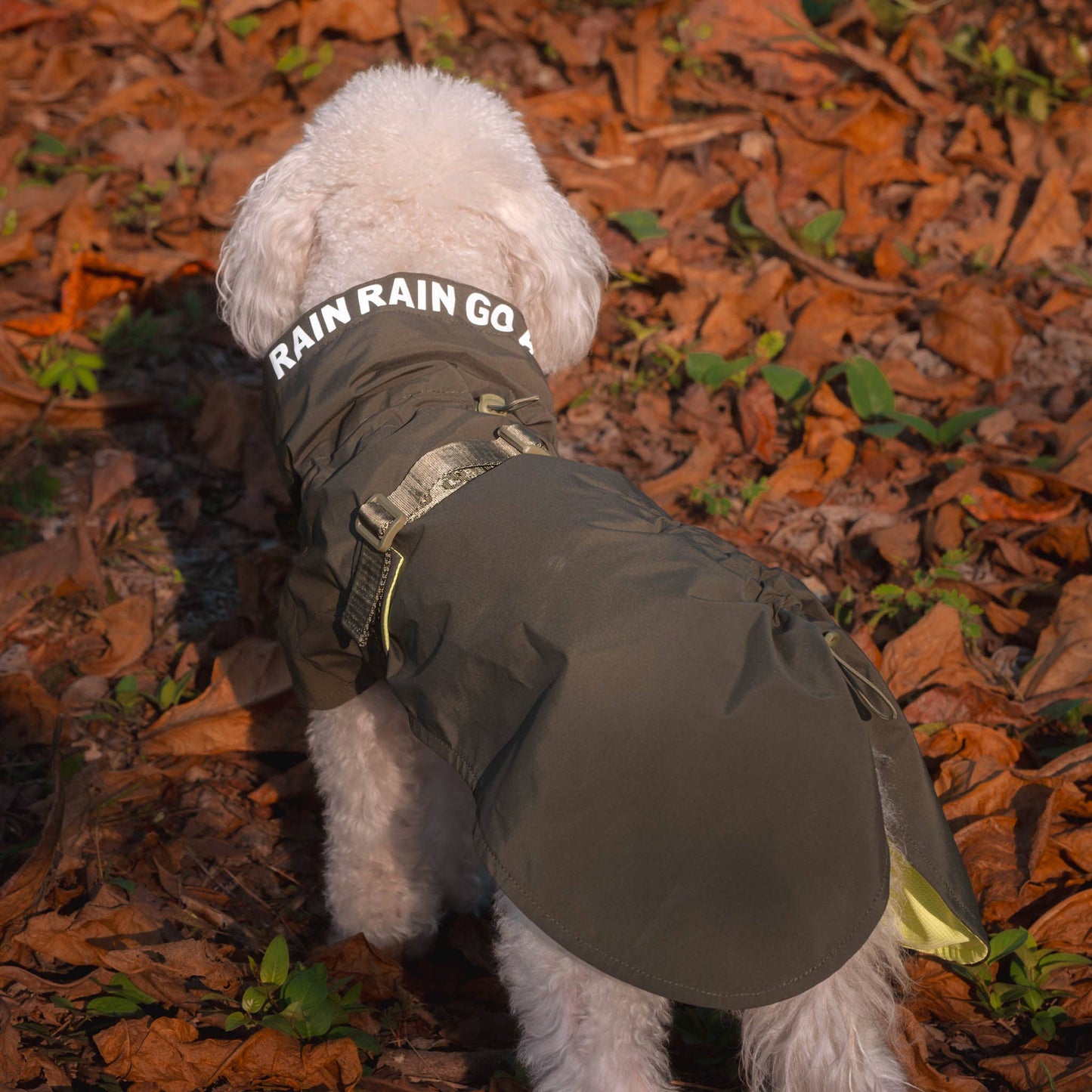 Pups & Bubs - Lumi Raincoat Image