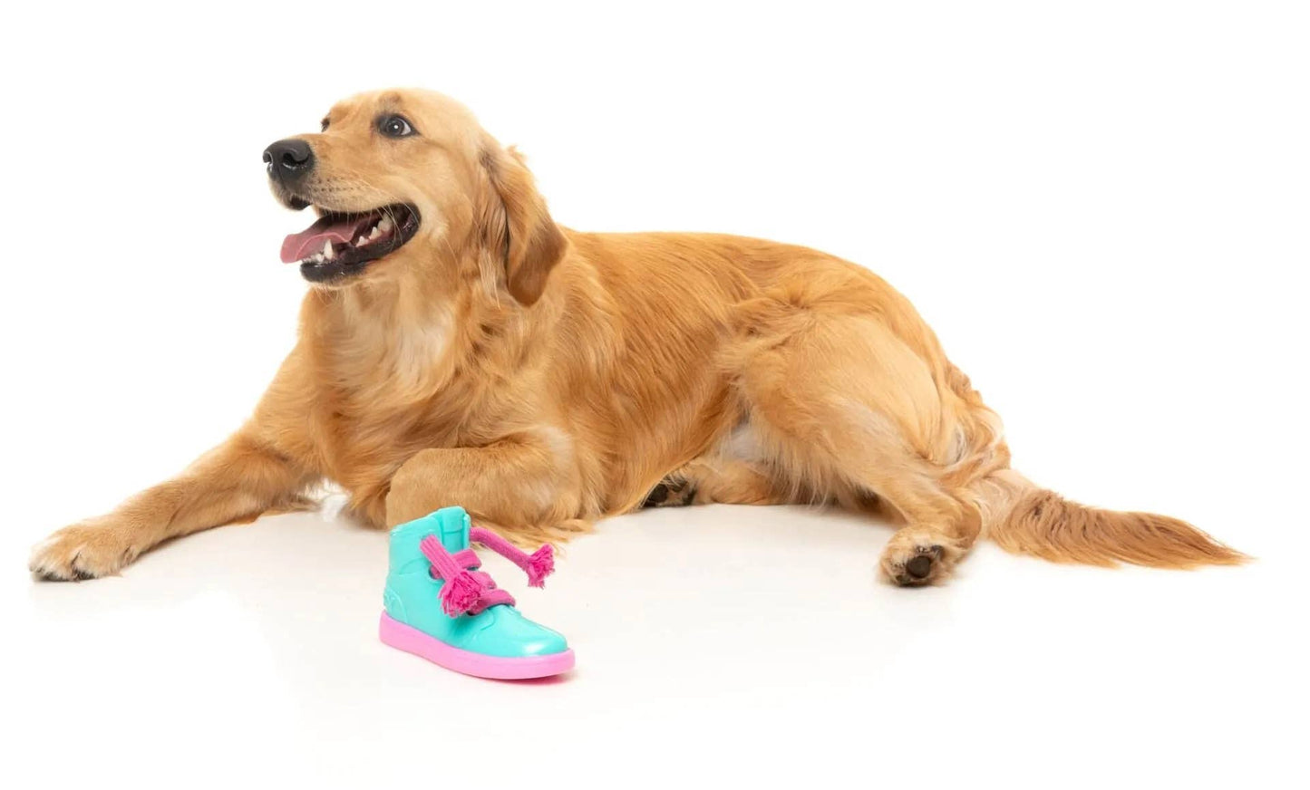 FuzzYard Fresh Kicks N' Licks Dog Chew Toy Image