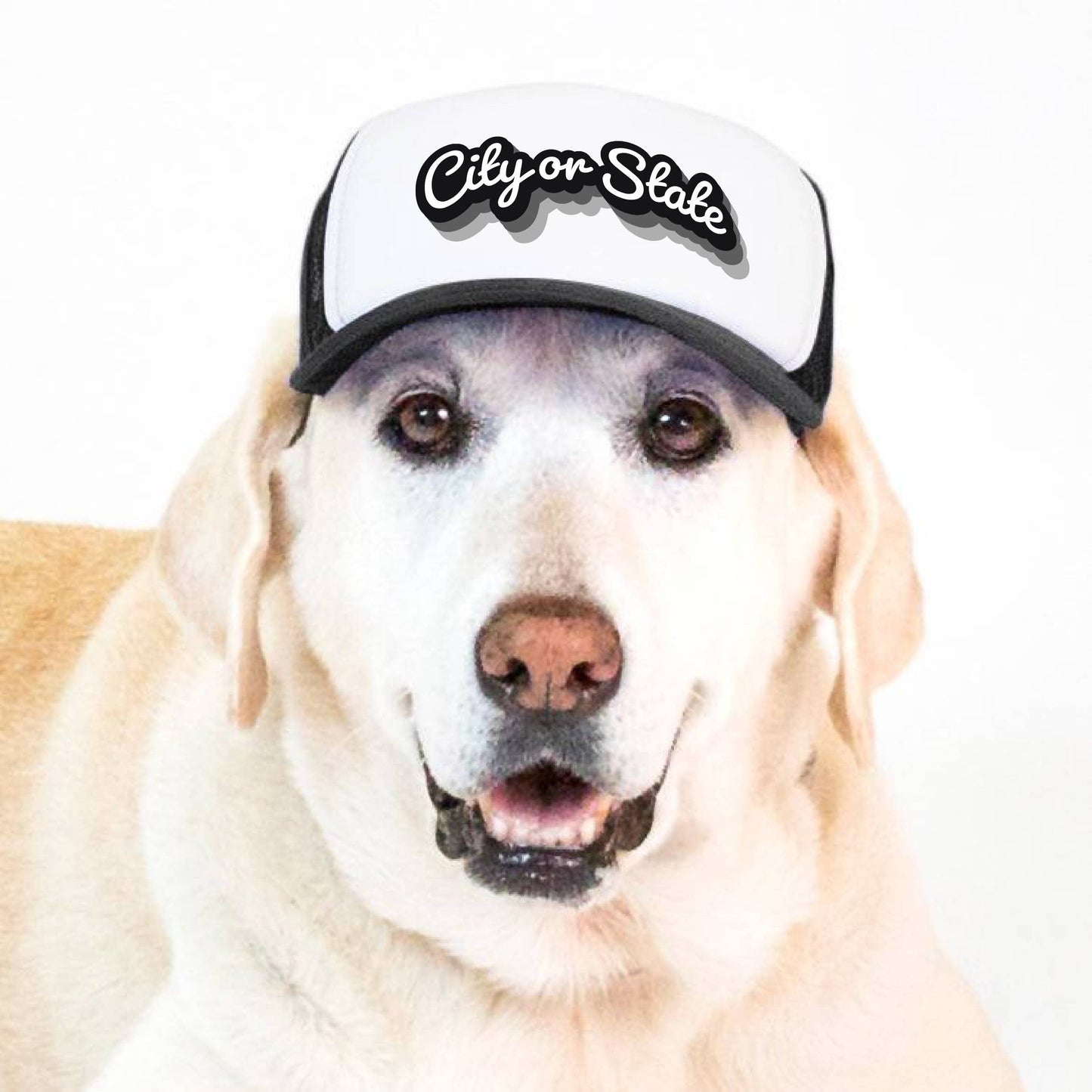 PupLid - Custom Retro Text | Trucker Hat for Dogs S Image