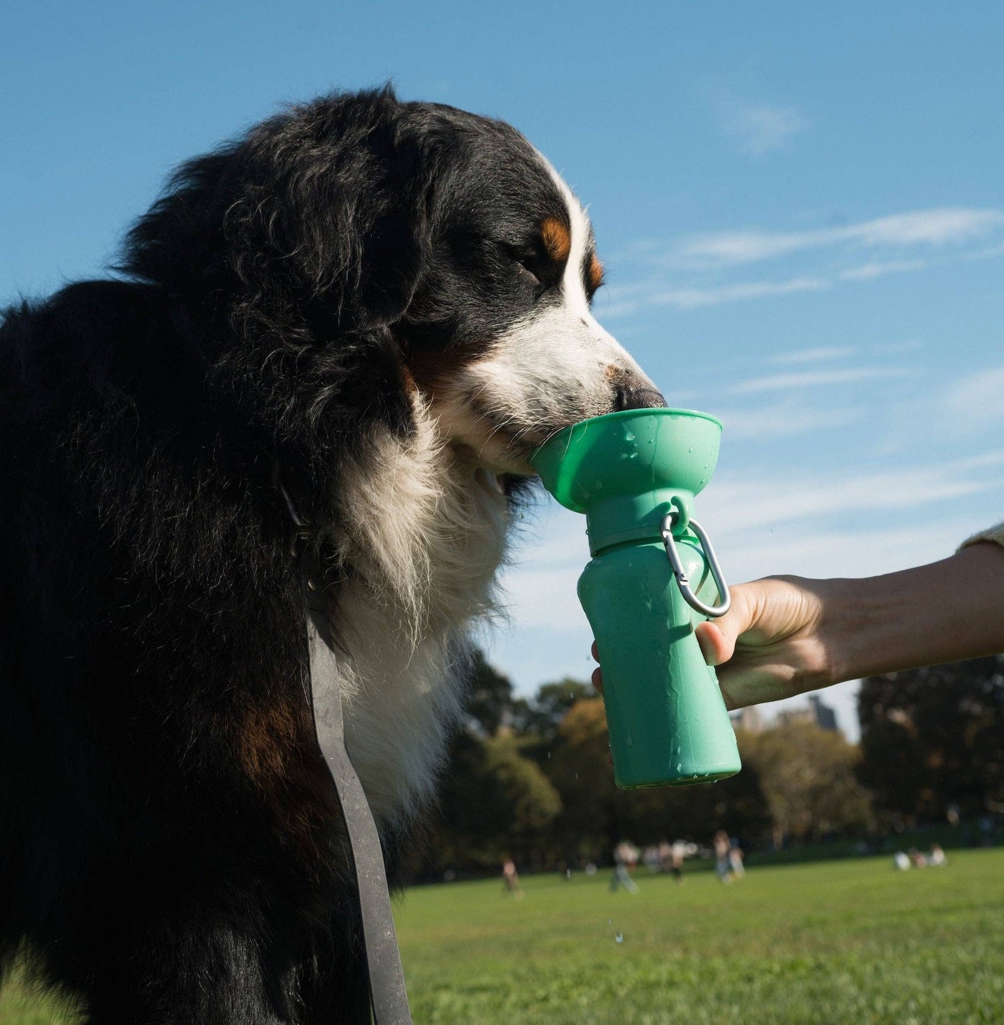 Springer Pets - Dog Travel Water Bottle, 20oz Image