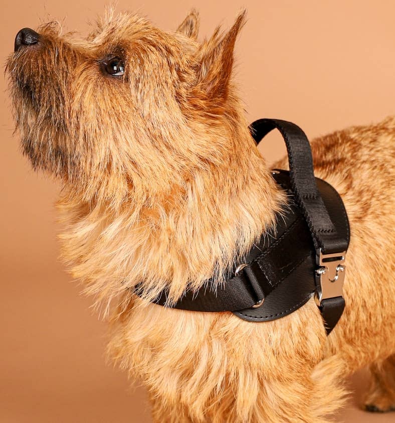 Hozi - Saddle Harness - Black Image