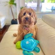 Spunky Pup - Clean Earth Recycled Plush Toys - 100% Sustainable