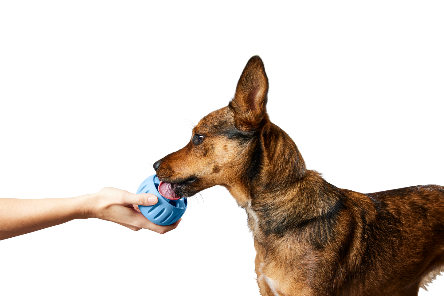 Woof - The Pupsicle - Wholesale Exclusive Color Image