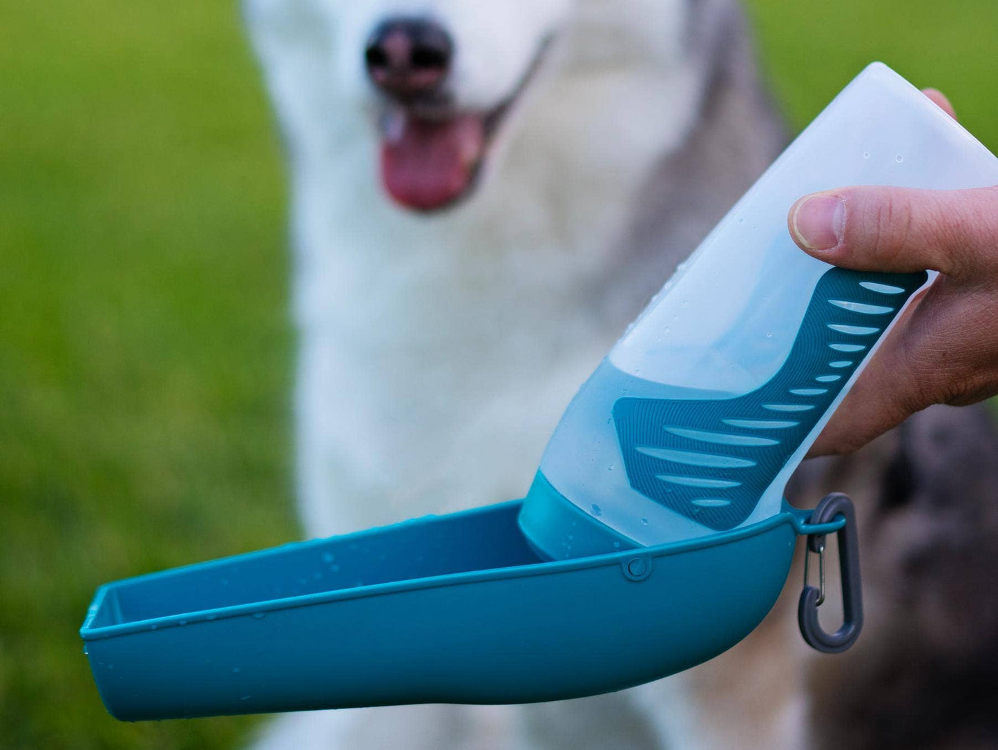 Messy Mutts Travel Water Bottle with Removable Bowl, 16oz Image