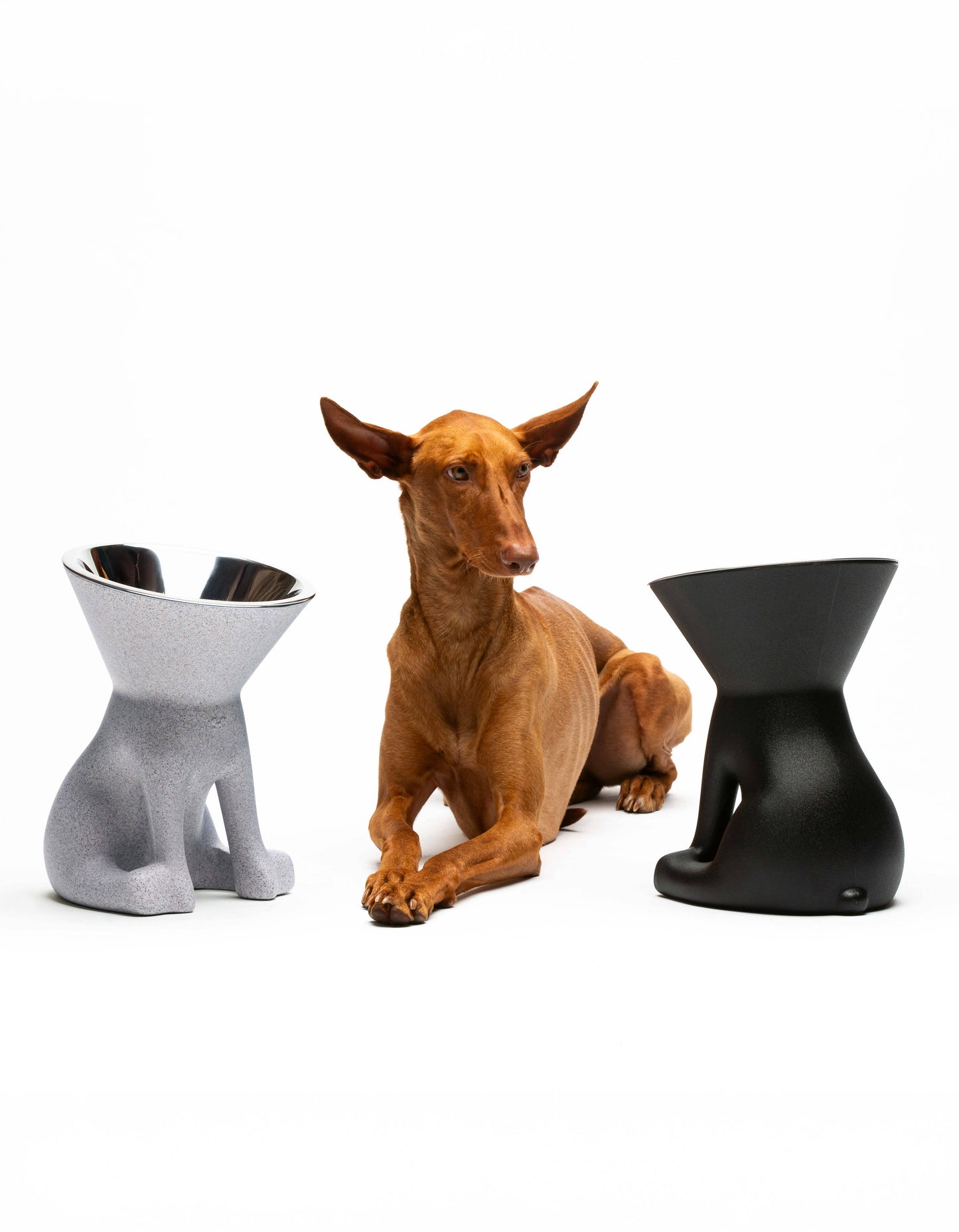 United Pets - Elizabeth: raised dog bowl