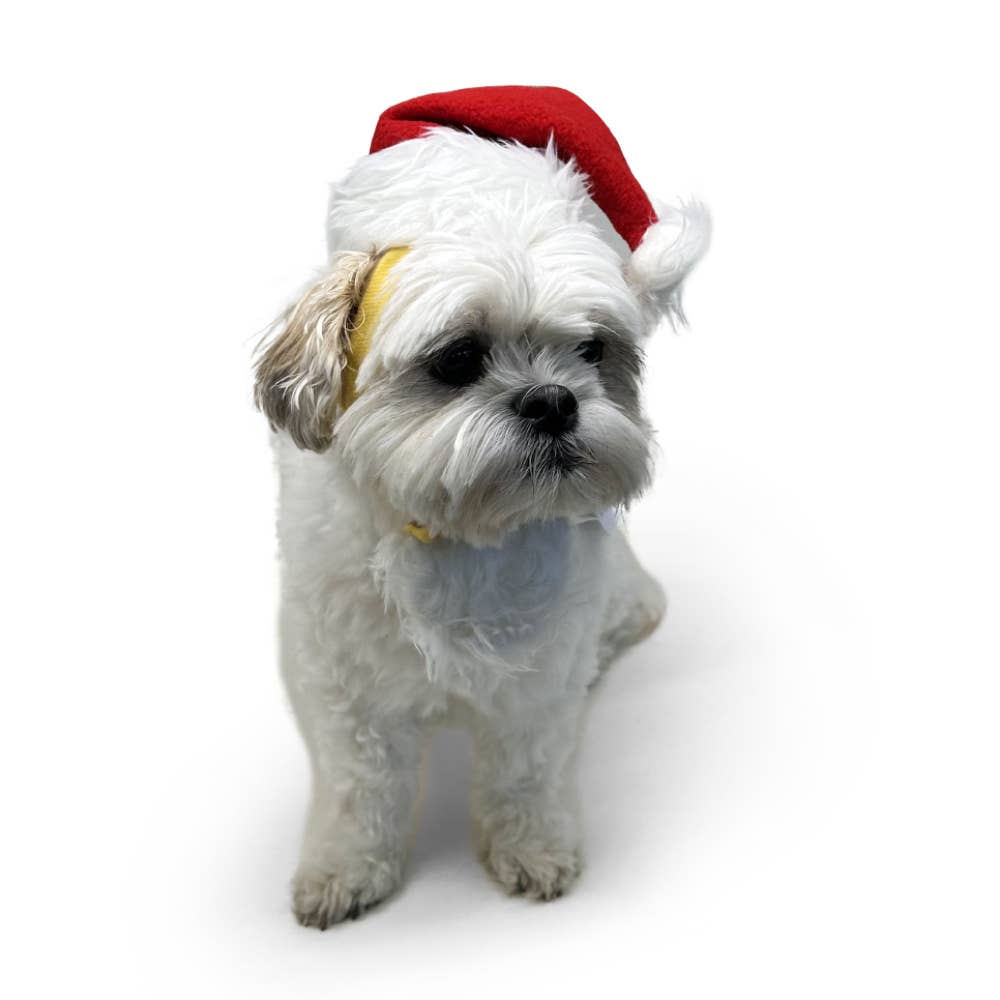 Dogo Pet - Santa Hat Image