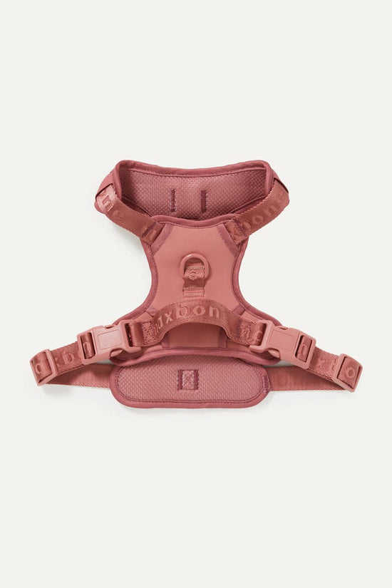 maxbone - Easy Fit Dog Harness Image