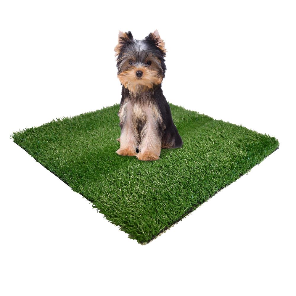 
            
                Load image into Gallery viewer, Wee-Wee Patch Indoor Potty Replacement Grass  Image
            
        