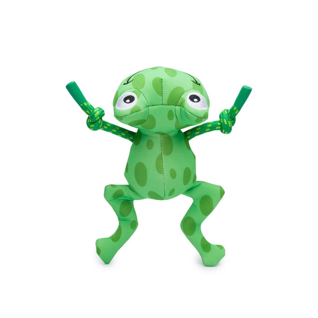 Load image into Gallery viewer, fabdog - Frog Floatie  Image

