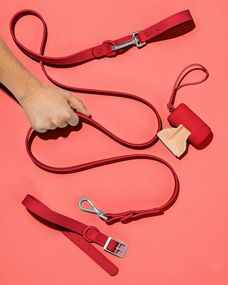 
            
                Load image into Gallery viewer, Wild One - Strawberry Leash  Image
            
        