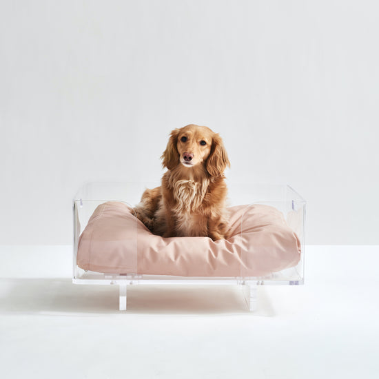 Load image into Gallery viewer, Crystal Clear Pet Bed Set  Image
