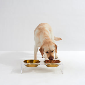 
            
                Load image into Gallery viewer, Crystal Clear Elevated Pet Feeders Standard w/ 1 Quart Bowls Image
            
        
