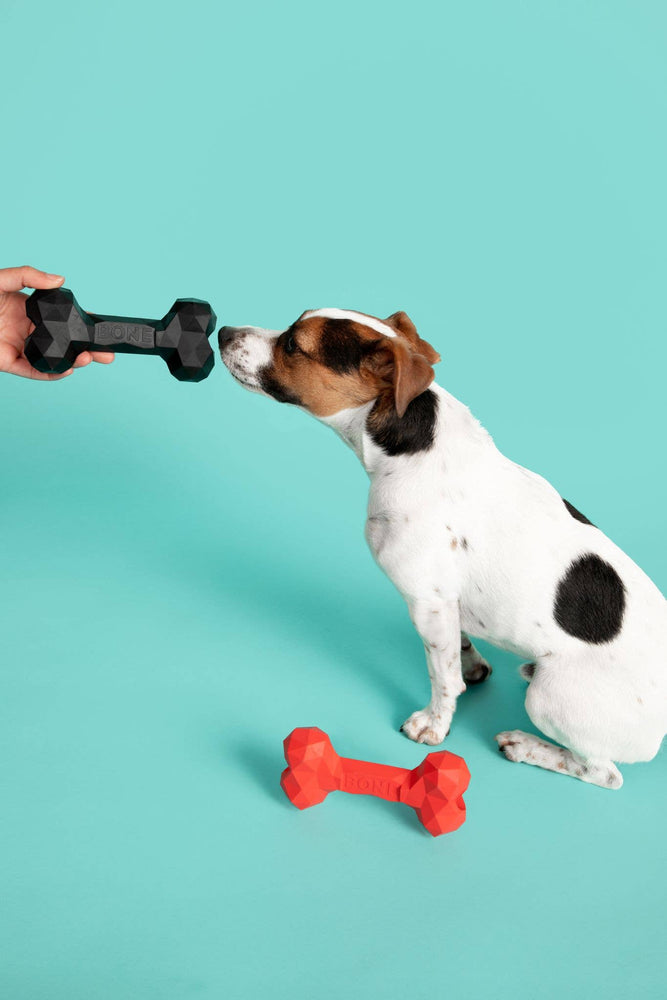 The modern pet company - Busy Buddy Bone Toy -  Small  Image