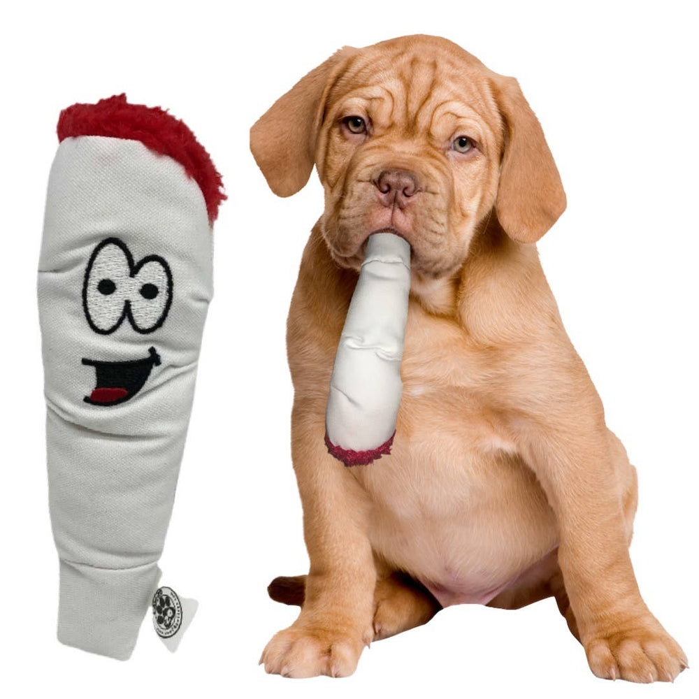 
            
                Load image into Gallery viewer, Jay the Joint 420 Dog Toy  Image
            
        