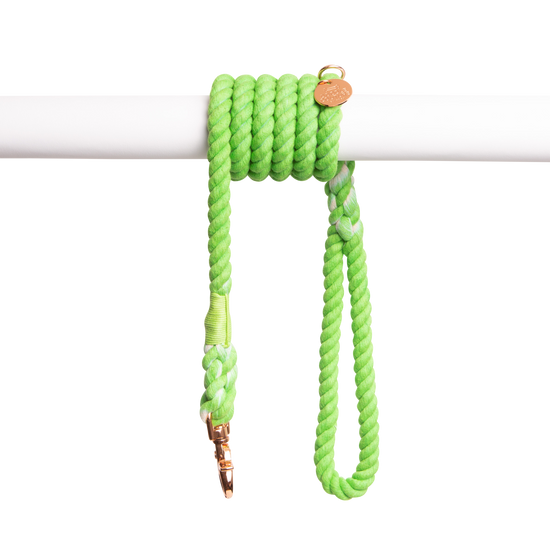 Doodle Couture, New York - The Lead Natural Rope Dog Leash - Bowling Green  Image
